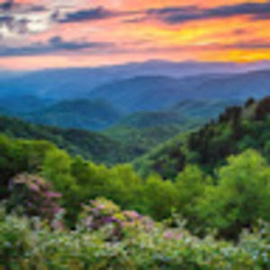 Meet your Posher, Ella